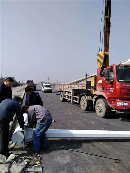 河南八棱桿合作案例